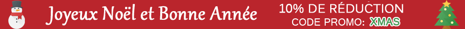 Joyeux Noel et bonne ann&eacute;e!
