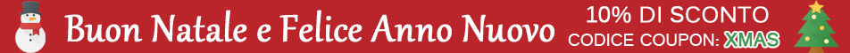 Buon Natale e Felice Anno nuovo!